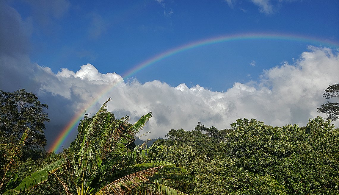 Rainbows are very common